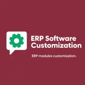 ERP Software Customization