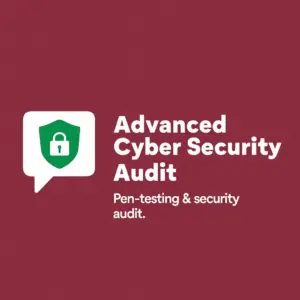 Advanced Cyber Security Audit