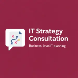 IT Strategy Consultation
