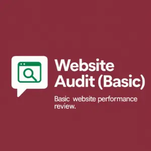 Website Audit (Basic)